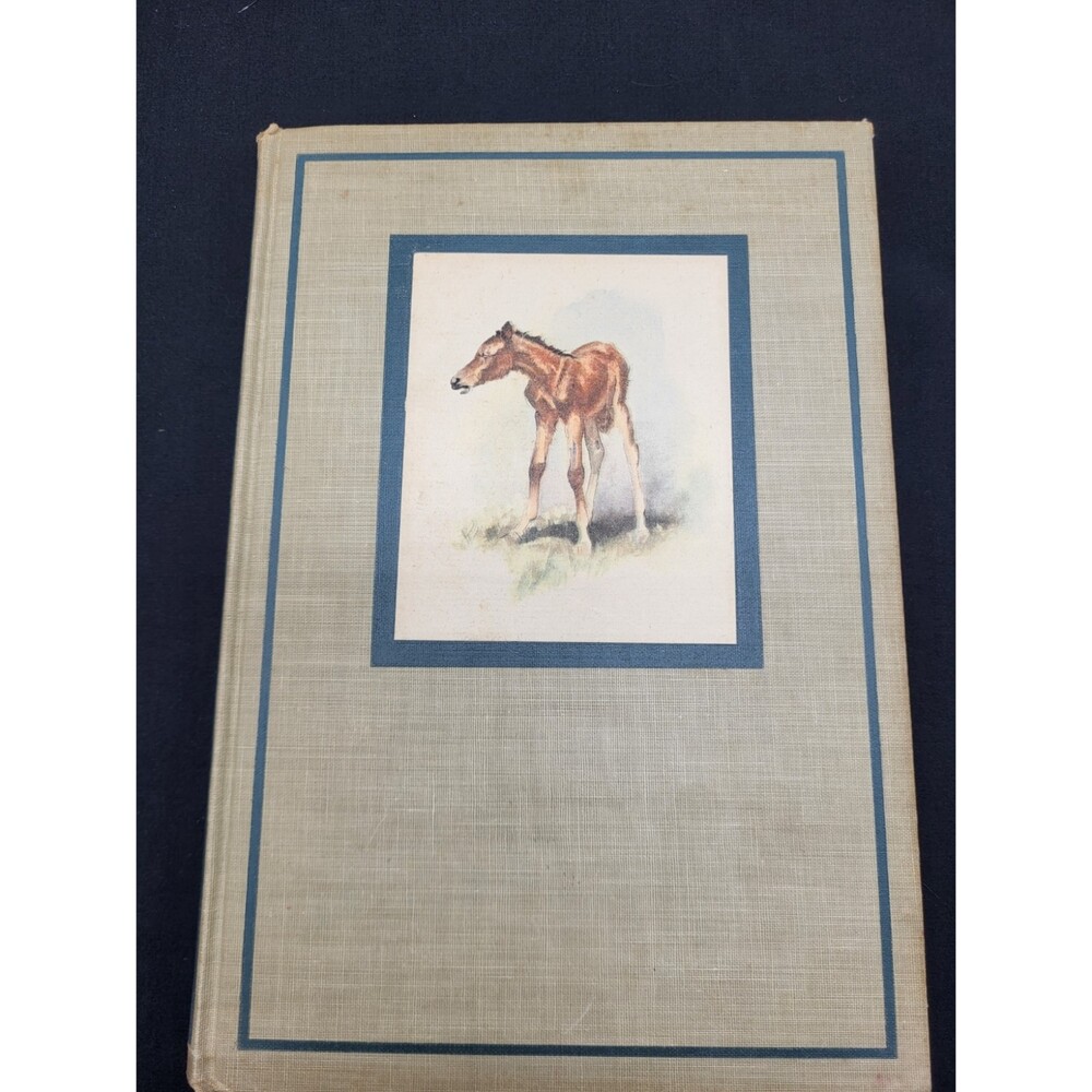 The Red  Pony by John Steinbeck